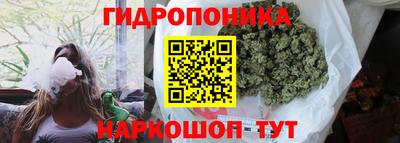 ГАЛЛЮЦИНОГЕННЫЕ ГРИБЫ Донской