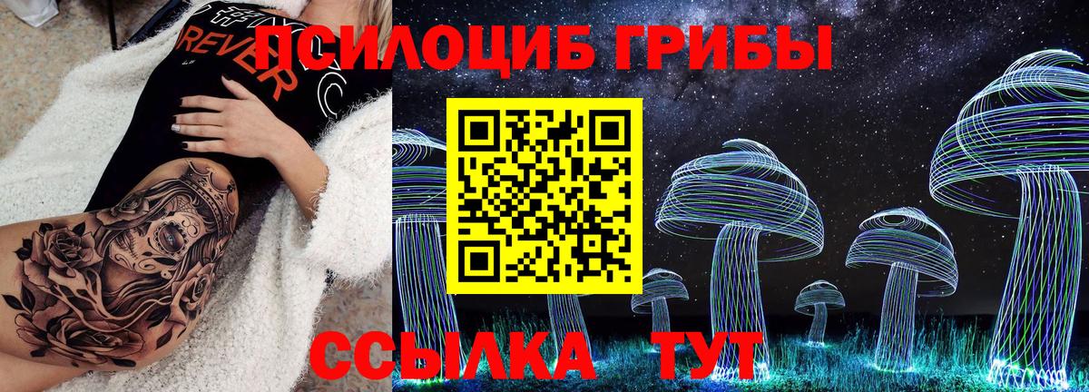 Псилоцибиновые грибы Cubensis Луга
