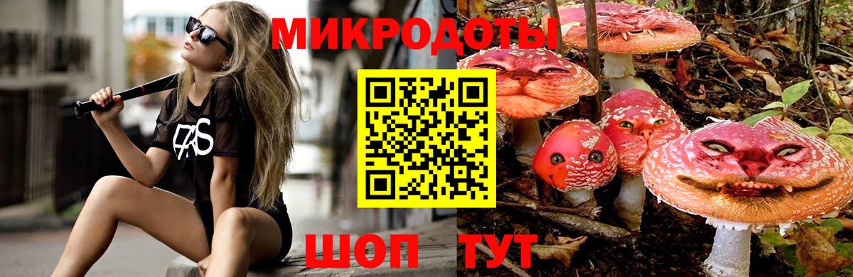 Луга  Галлюциногенные грибы мицелий  Галлюциногенные грибы прущие грибы  Вход с VPN 